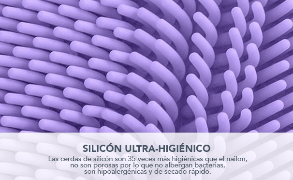 anticaida